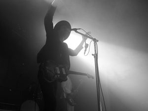 The Veils
